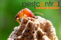 Termite Inspection Sydney image 3
